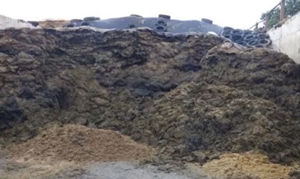 Clamp silage slippage